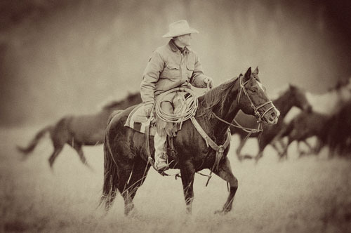 Tim, by Ree Drummond, The Pioneer Woman