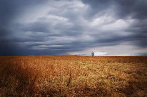 Old Barn, by Ree Drummond, The Pioneer Woman